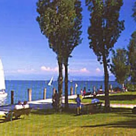 Peacock * Immenstaad am Bodensee